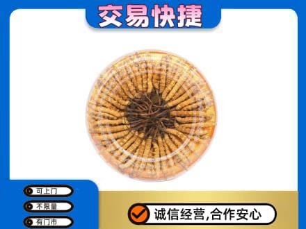 沧州高价回收虫草礼盒